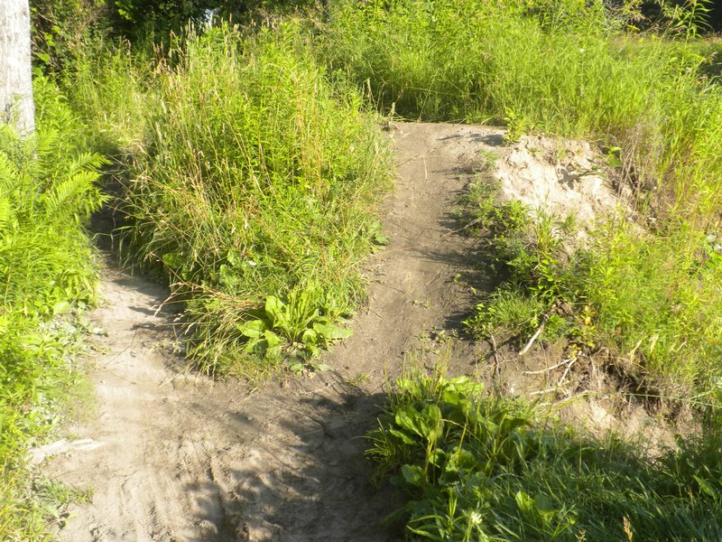 The Rugged Trail