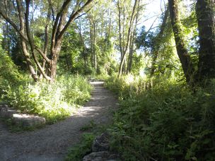 The Groomed Path